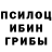 Псилоцибиновые грибы мухоморы Kolia Abdrasulov