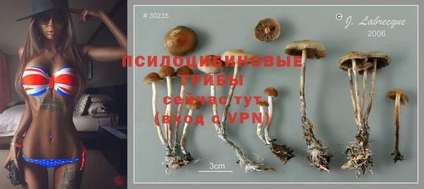 spice Мегион