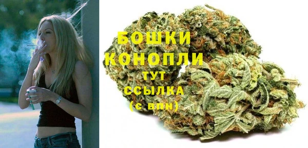 ГАЛЛЮЦИНОГЕННЫЕ ГРИБЫ Медвежьегорск