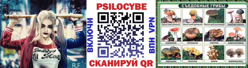 наркота  Нефтегорск  Галлюциногенные грибы Magic Shrooms 